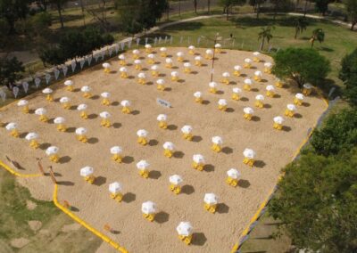 Diseño, armado y producción